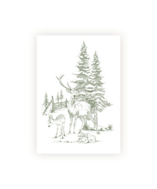 Kartīte Woodland Toile, Manilla
