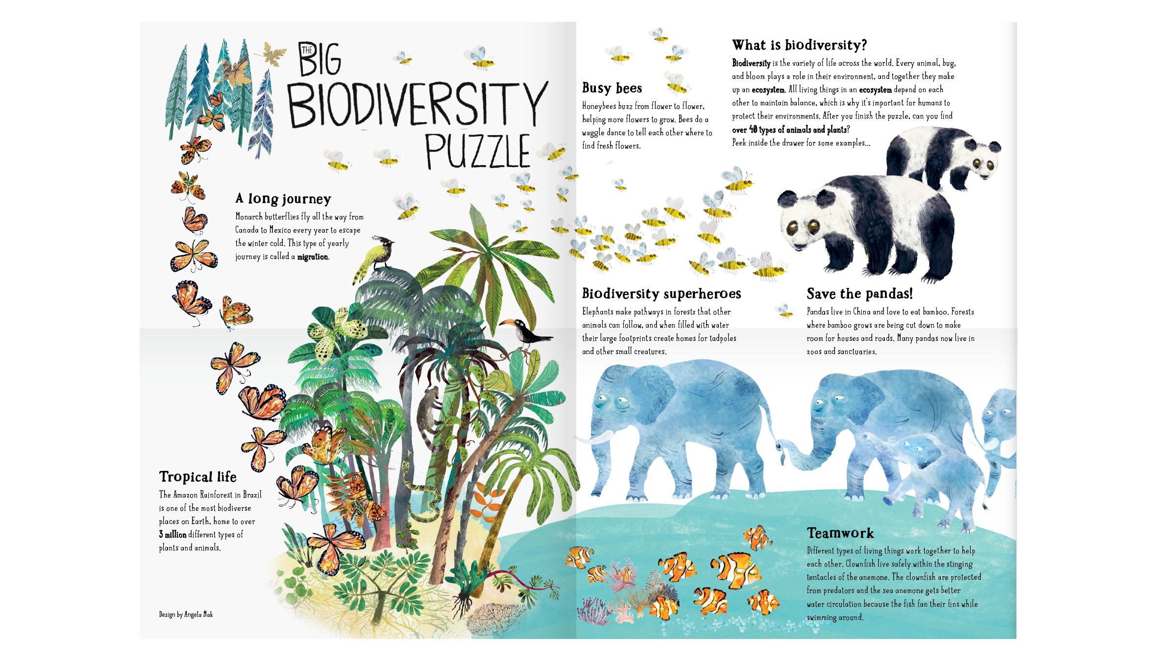 puzle-berniem-biodiversity-manilla