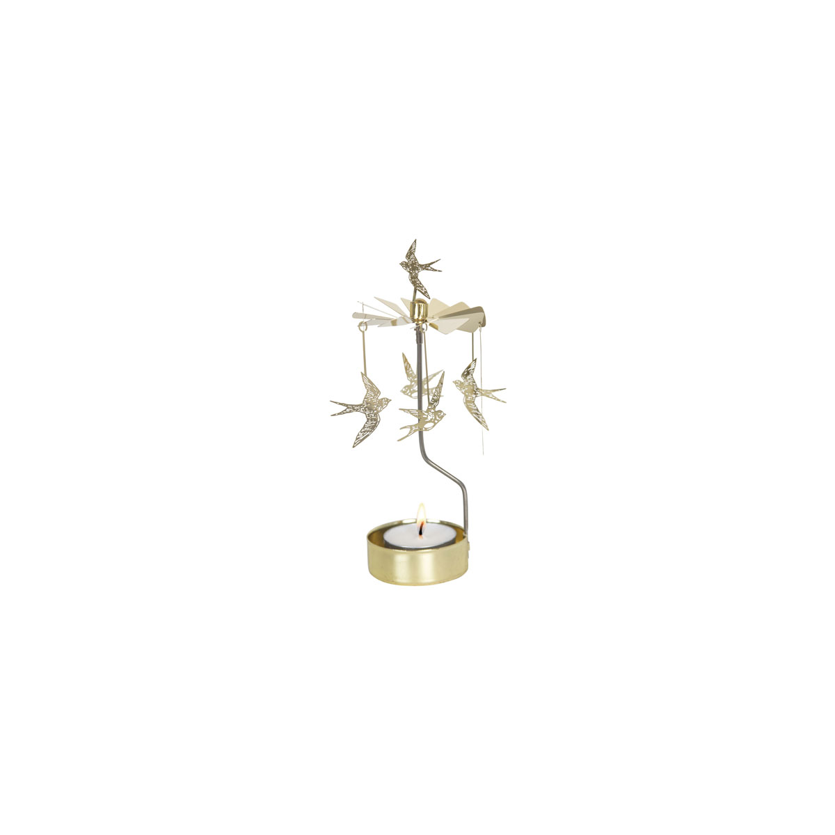 Svecturis-Gold-Swallow,-Small