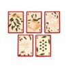 XPCARD26_007_1755011952