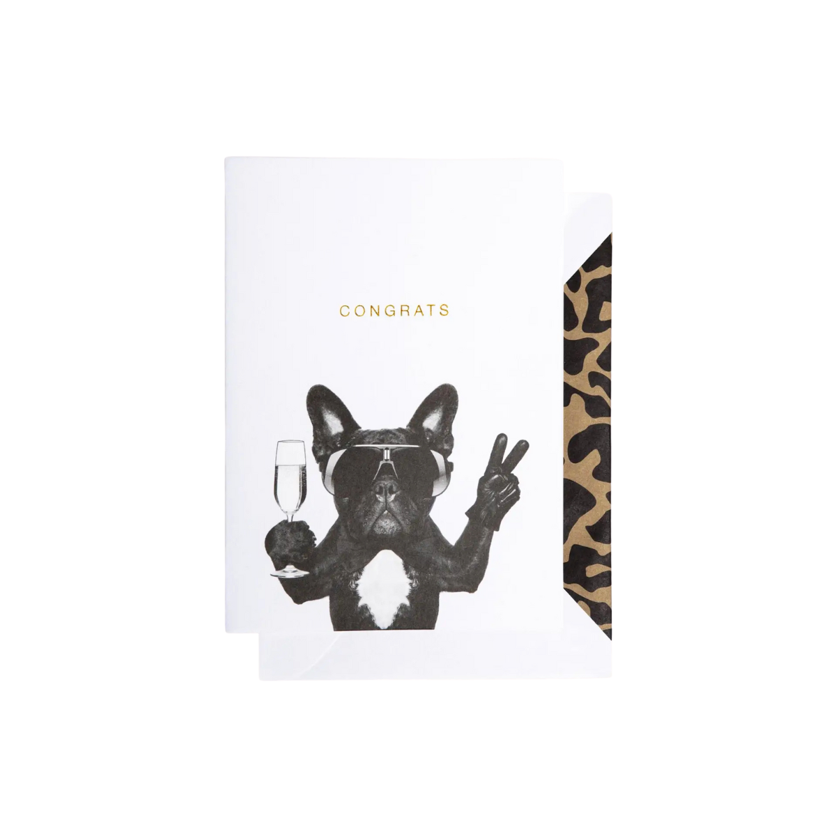 kartite-dzimasnas-diena-dog