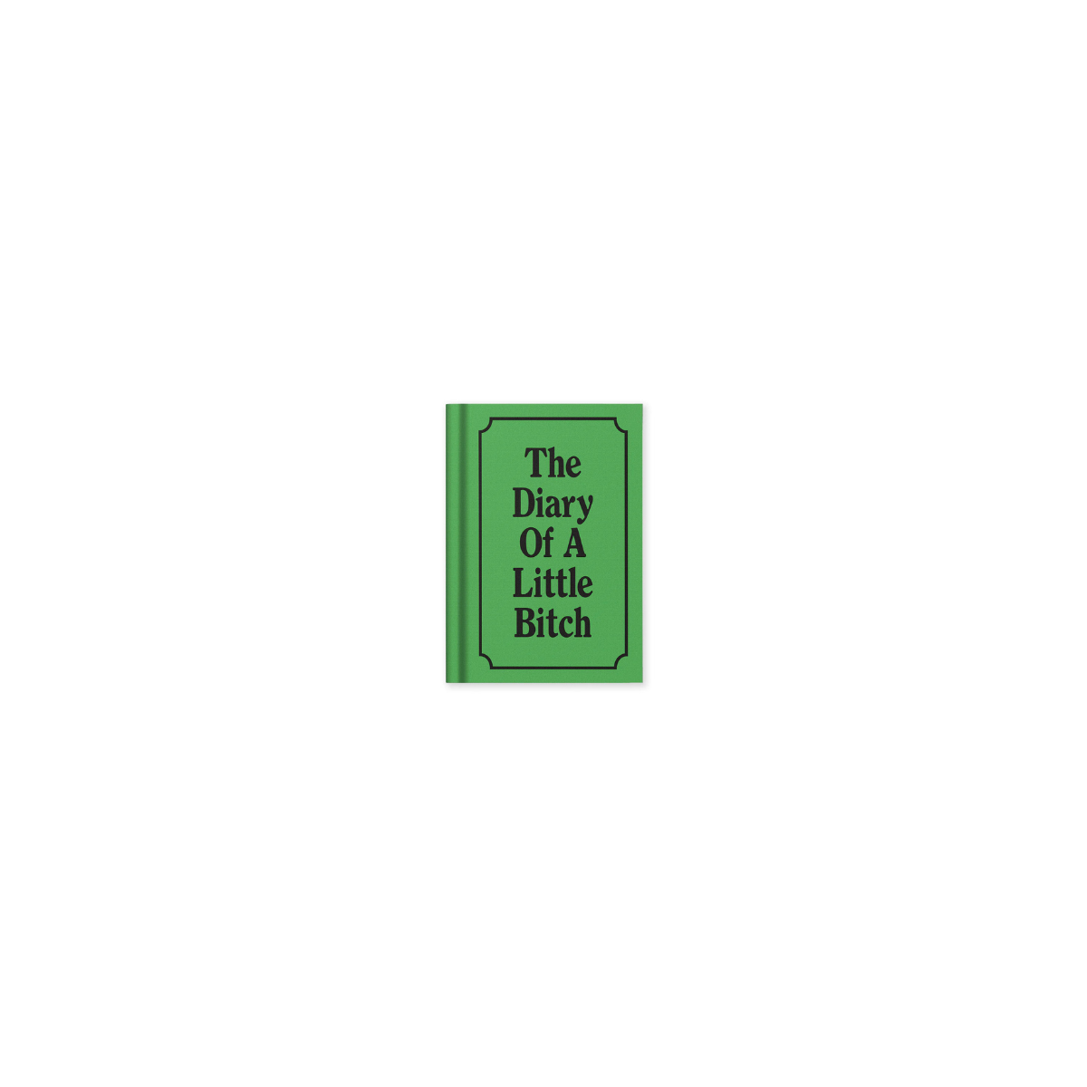 mini-piezimju-gramatina-the-diary-of-a-little-bitch