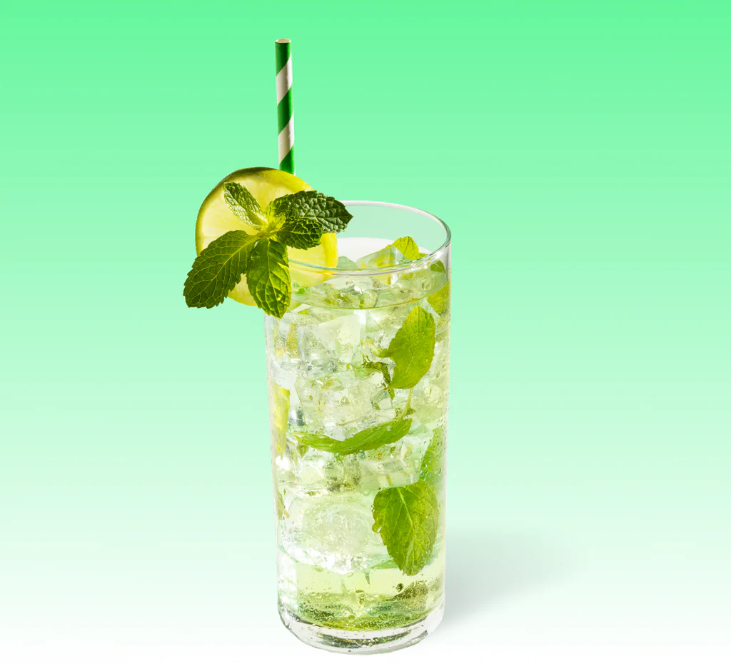 mint-mohito-1-gab.png