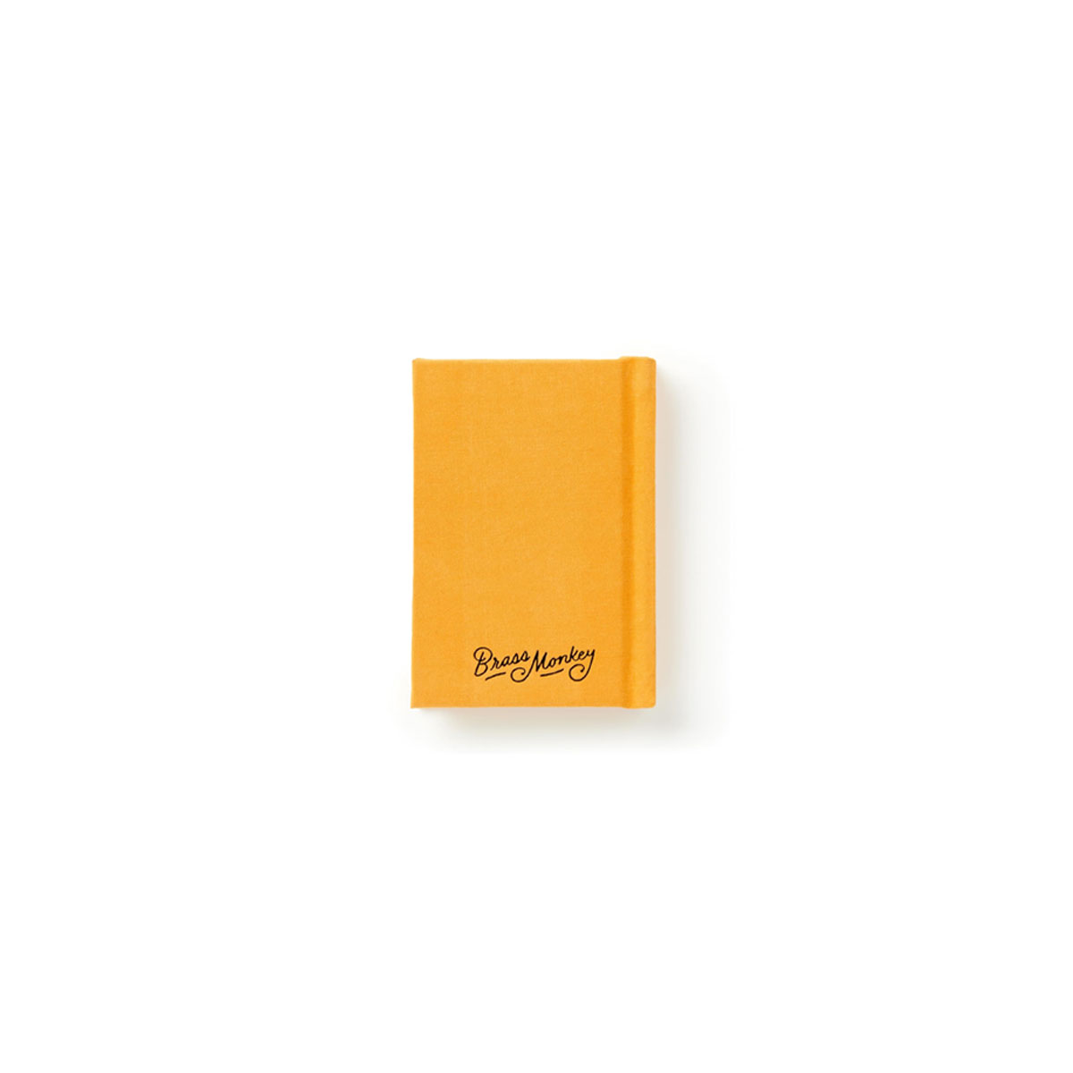 8_Piezimju-gramata-A-Tiny-Diary-for-Tiny-Thoughts