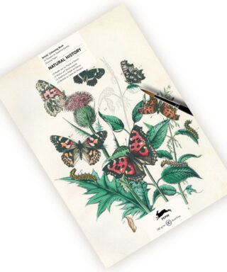 Krāsojamā grāmata Natural History, The Pepin Press