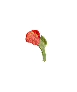 Matu klipsis Rose, Coucou Suzette