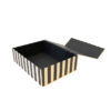 davanu-kaste-black-stripe-l2