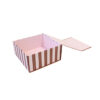 davanu-kaste-magnet-stripe-pink-m2