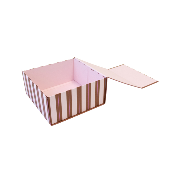 davanu-kaste-magnet-stripe-pink-m2