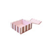 davanu-kaste-magnet-stripe-pink-s2