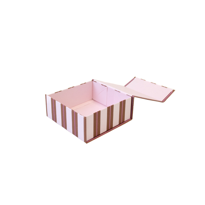 davanu-kaste-magnet-stripe-pink-s2