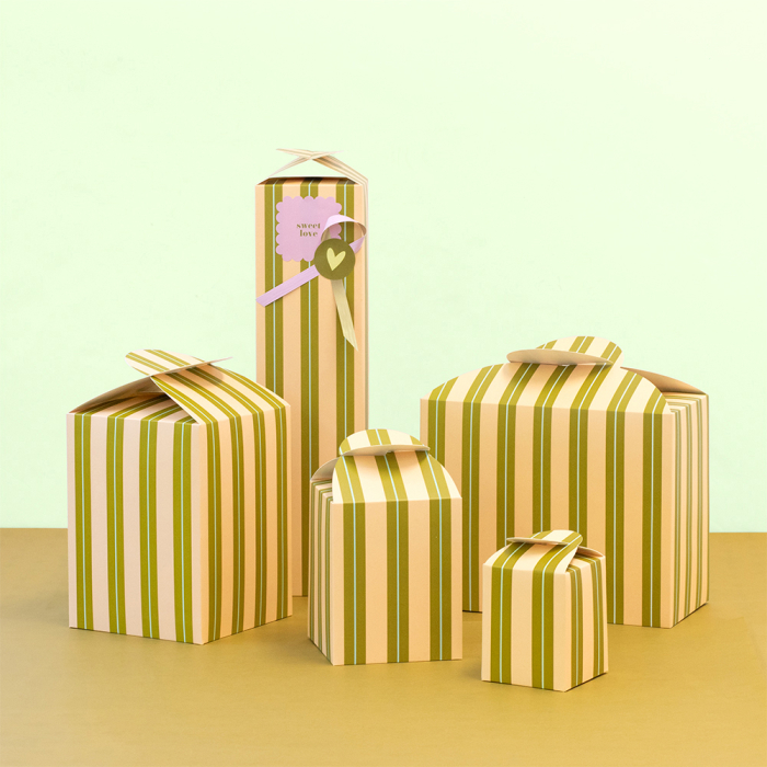 kartona-davanu-kaste-stripe-