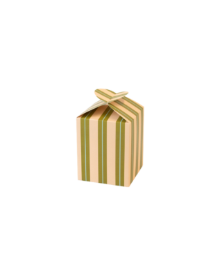 Dāvanu kaste Stripe Chalk Peach, medium, salokāma