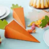 Dekoratīvas-kastītes-burkans-carrot1.jpg