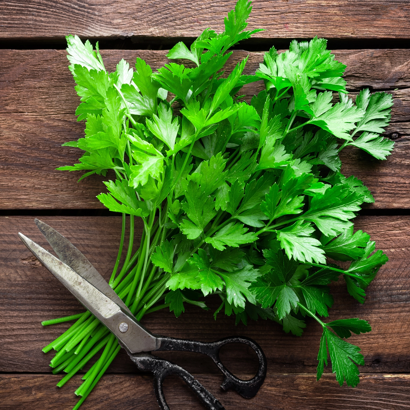 garsaugu-seklu-mix-herbs2.png