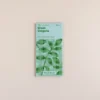 oregano-seklas-greek-oregano3