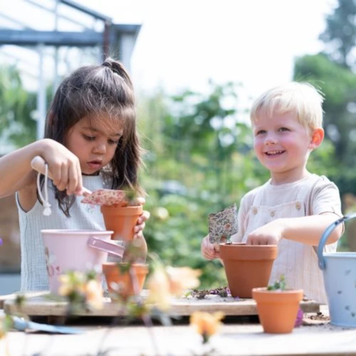 Puķupods ar sēklām Strawberry, Little Dutch-3-Manilla