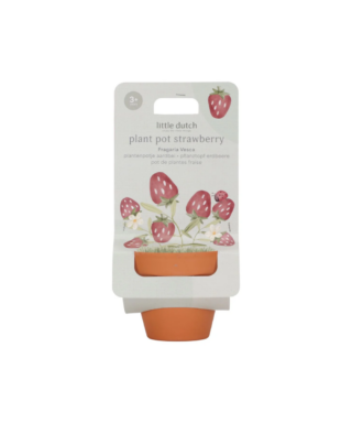 Puķupods ar sēklām Strawberry, Little Dutch