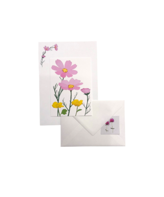 Vēstuļu komplekts Cosmea, 1. gab.