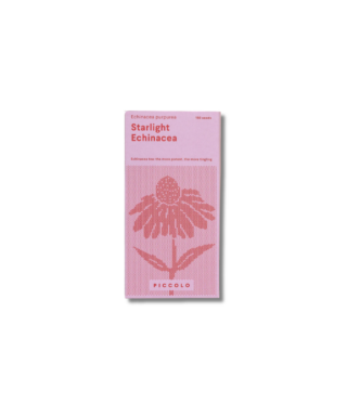 Ziedu sēklas Ehinācija, Echinacea Starlight, sēklu paciņa