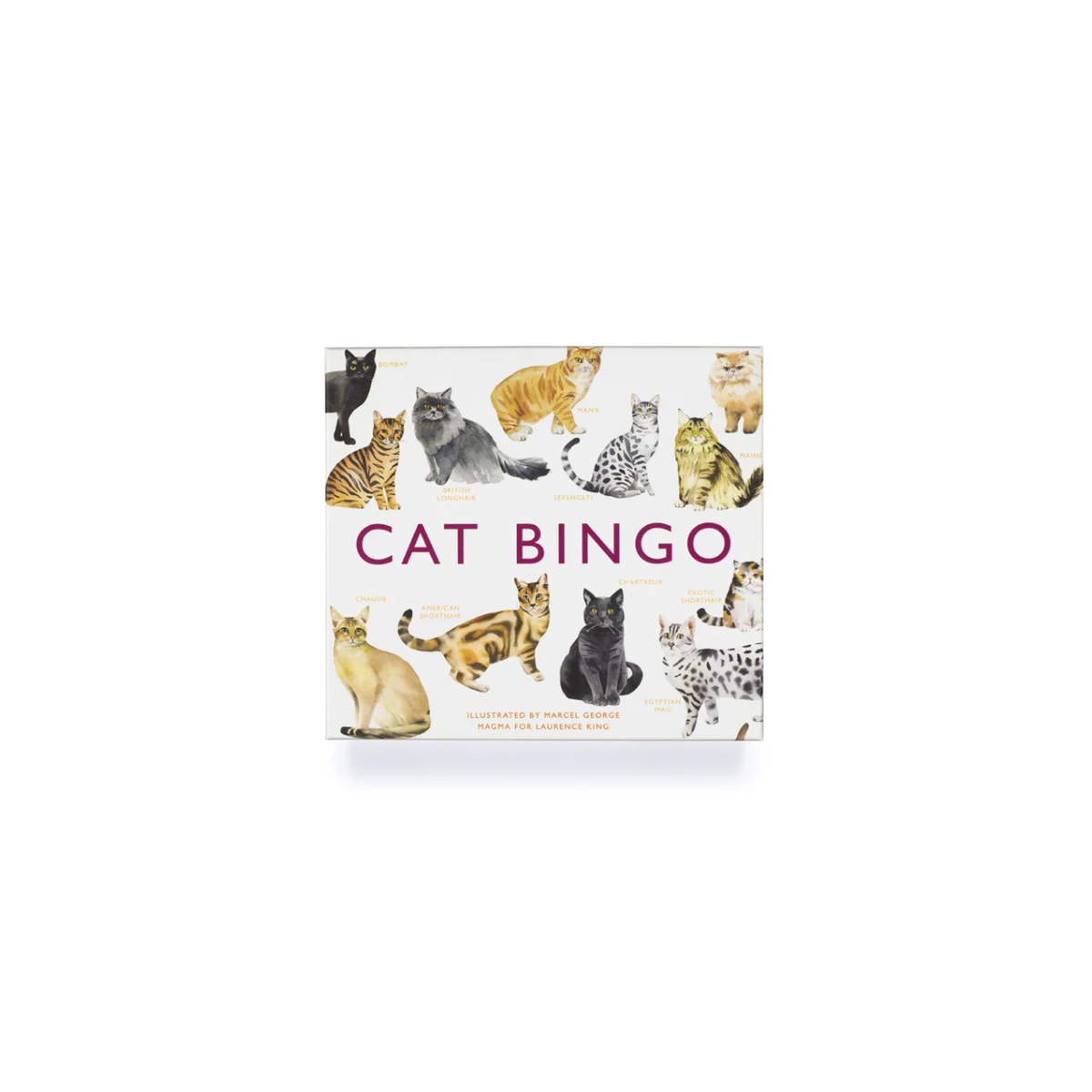 galda-spele-cat-bingo-manilla