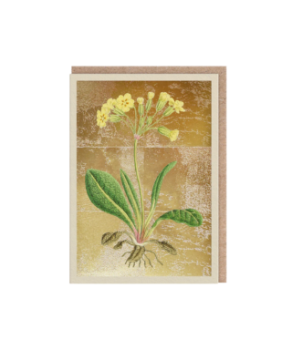 Kartīte Cowslip