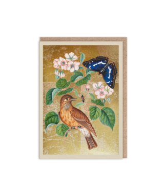Kartīte Wren