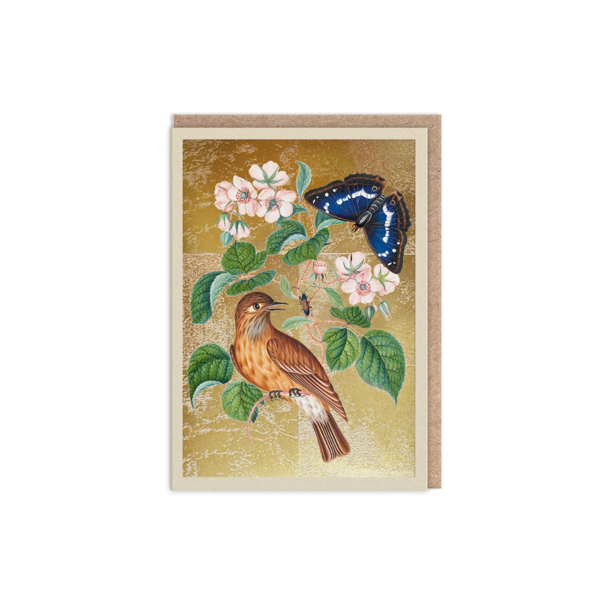 kartite-wren-paceplitis-zvirbulis
