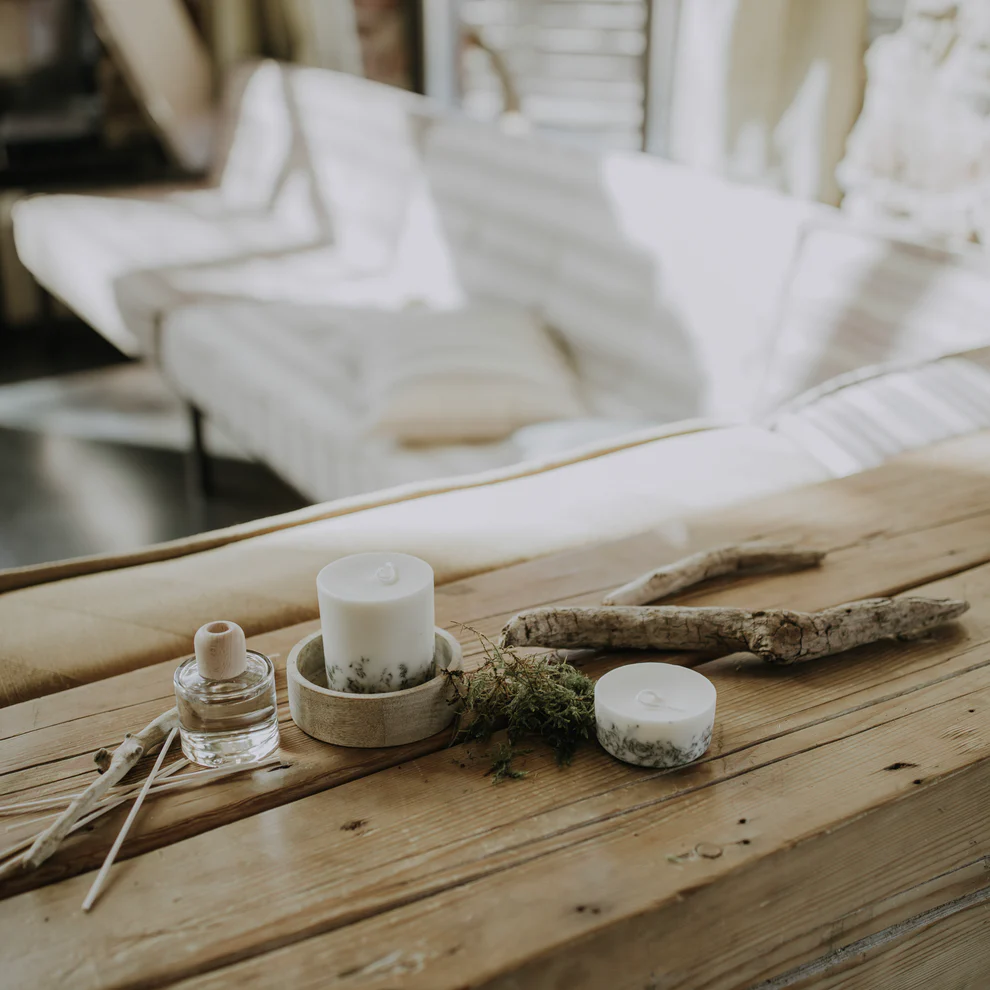 Moss_diffuser_4