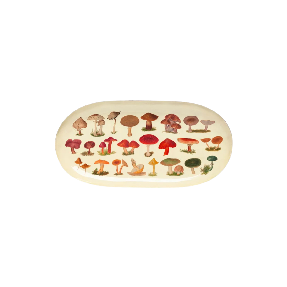 dekorativa-paplate-senes-fungi-manilla-rudens