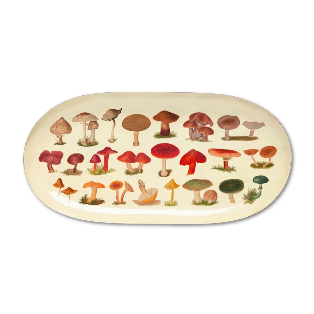 dekorativa-paplate-senes-fungi-manilla-rudens4.jpg