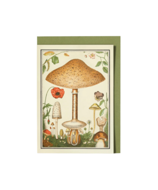 Kartīte Fungi, Roomytown