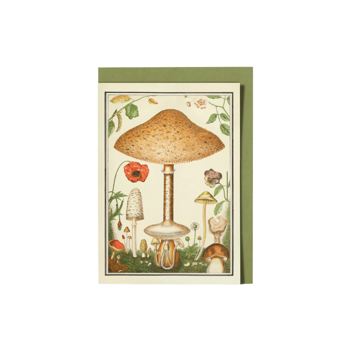 kartite-ar-senem-fungi-rudens-manilla
