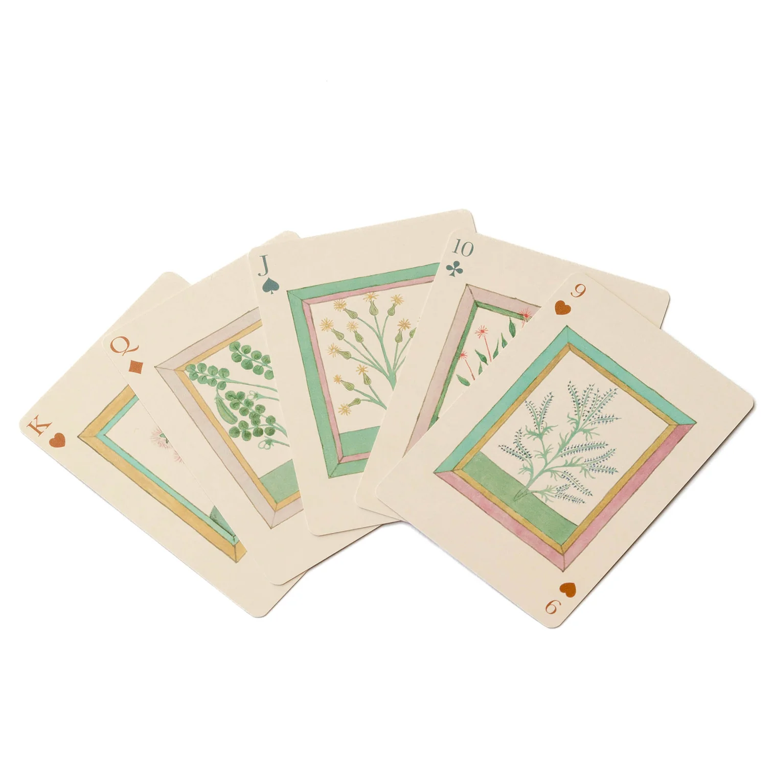 spelu-karsu-kava-book-of-herbs4.jpg