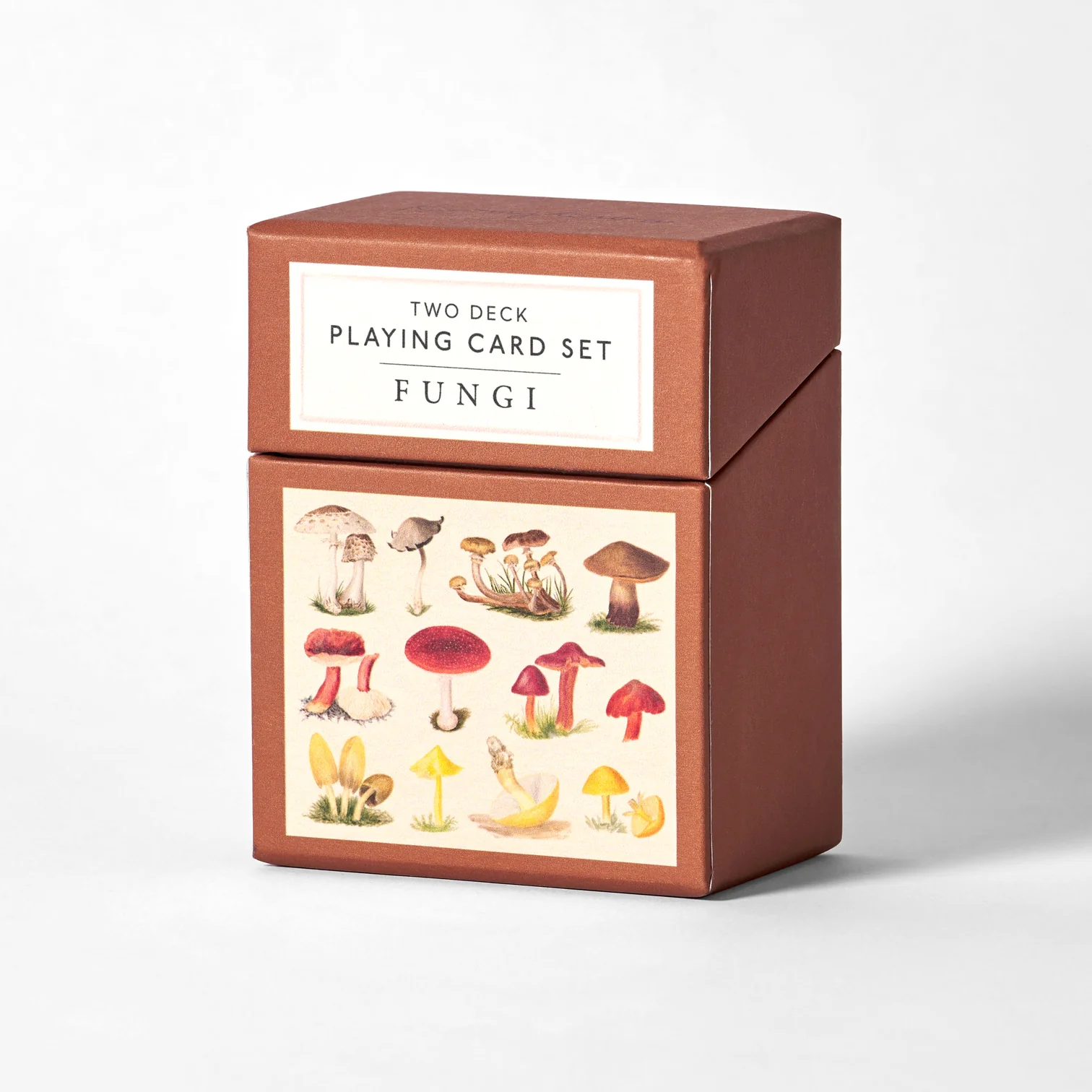 spelu-karsu-kava-senes-fungi-rudens-manilla7.jpg