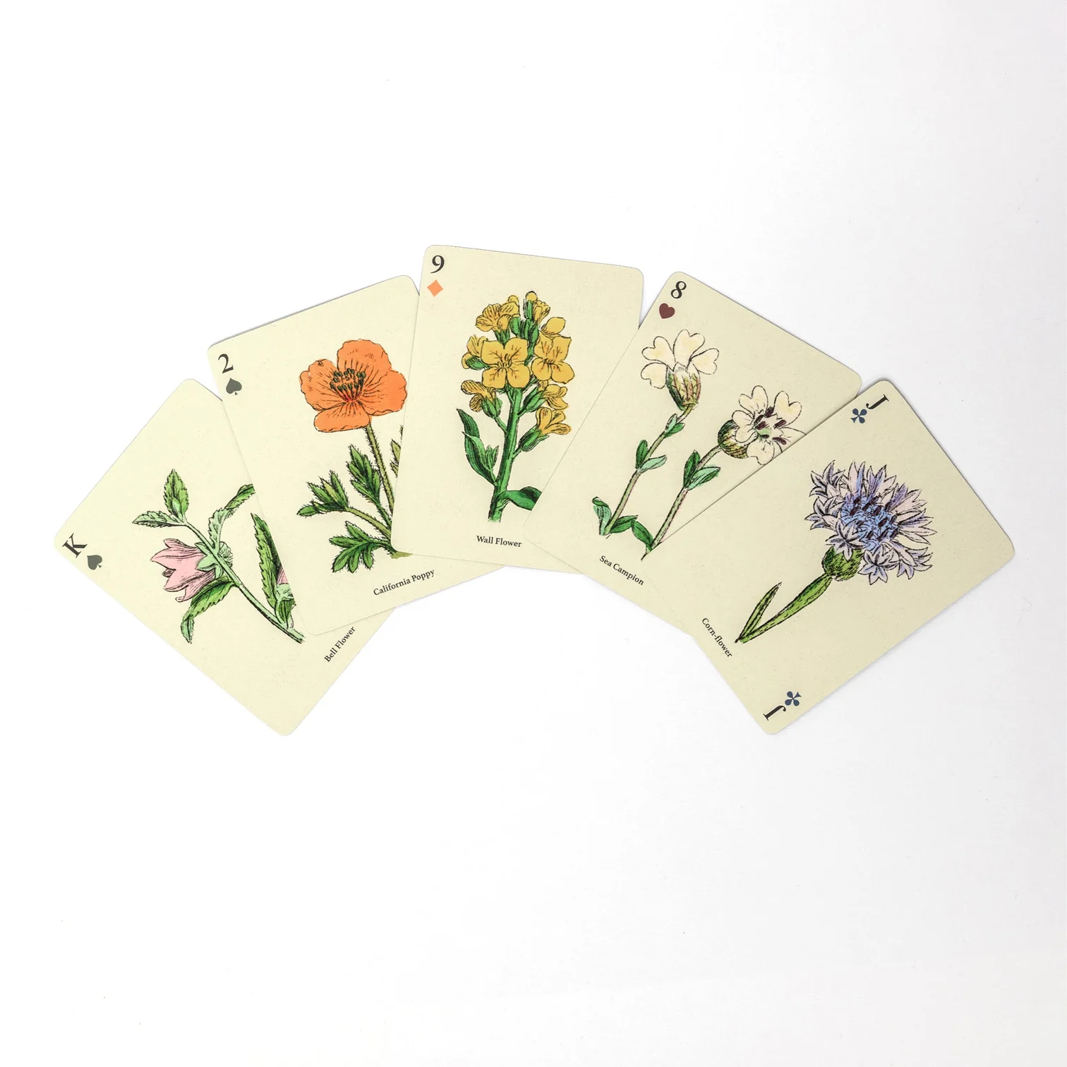 spelu-karsu-kava-wildflowers-manilla5.jpg